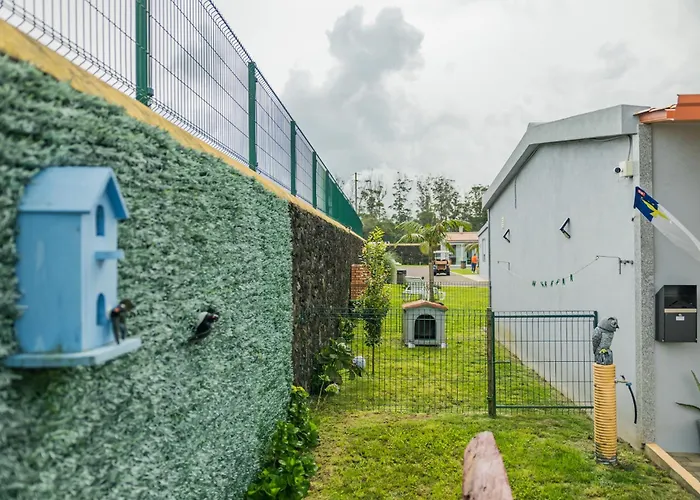 Parrots\'Village